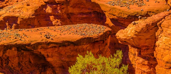 Tageslandschaft Talampaya Nationalpark Provinz Rioja Argentinien — Stockfoto