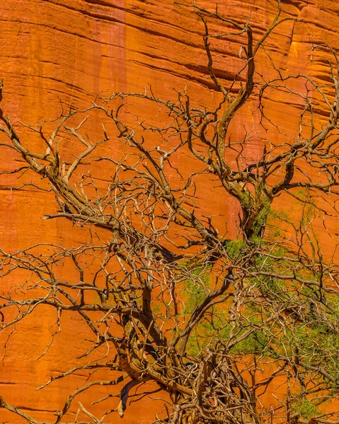 Tageslandschaft Talampaya Nationalpark Provinz Rioja Argentinien — Stockfoto