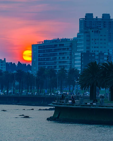 Scena Urbana Costiera Tramonto Nel Quartiere Parque Rodo Montevideo City — Foto Stock