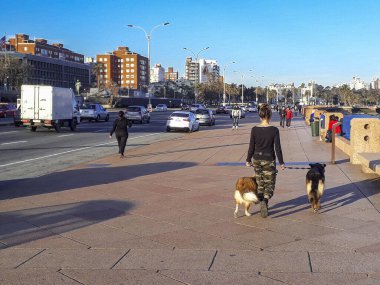 MONTEVIDEO, URUGUAY, AĞUSTOS - 2020 - Gezinti güvertesinde iki köpeğiyle yürüyen genç kadın, Montevideo, uruguay