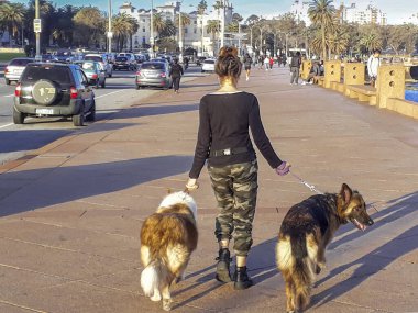 MONTEVIDEO, URUGUAY, AĞUSTOS - 2020 - Gezinti güvertesinde iki köpeğiyle yürüyen genç kadın, Montevideo, uruguay