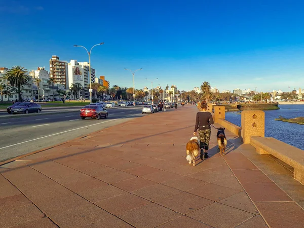 Montevideo Uruguay Août 2020 Jeune Femme Marchant Avec Ses Deux — Photo