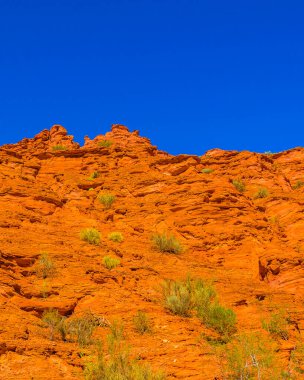 Talampaya Ulusal Parkı 'ndaki gündüz manzarası, la rioja bölgesi, Arjantin