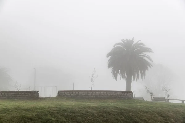 蒙太市乌鲁盖空雾雾蒙蒙的公园景观 — 图库照片