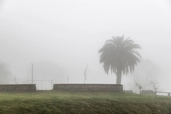 Κενό Ομιχλώδες Τοπίο Πάρκο Σκηνή Montevideocity Uruguay — Φωτογραφία Αρχείου