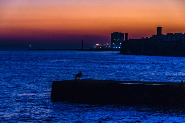 Городская Прибрежная Ночная Сцена Городе Montevideo Uruguay — стоковое фото