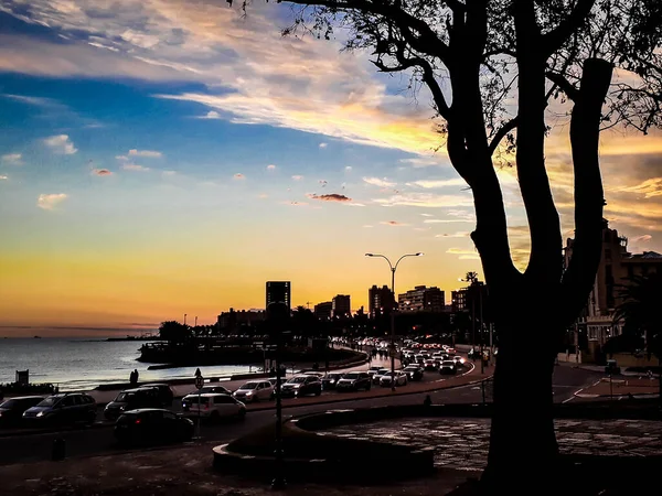 Αστική Παράκτια Backlight Ηλιοβασίλεμα Σκηνή Σιλουέτα Parque Rodo Πάρκο Montevideocity — Φωτογραφία Αρχείου