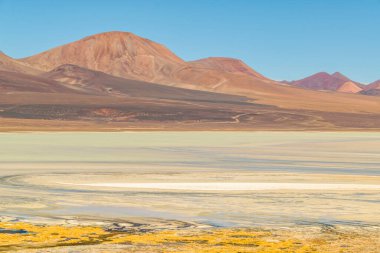 Brava Lagoon 'daki güzel puna ve andean manzarası, la rioja vilayeti, Arjantin