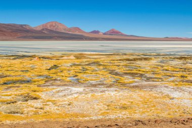 Brava Lagoon 'daki güzel puna ve andean manzarası, la rioja vilayeti, Arjantin