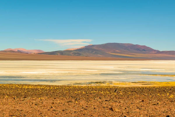 Beautiful Puna Andean Landscape Brava Lagoon Rioja Province Argentina — Stock Photo, Image