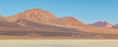 Brava Lagoon 'daki güzel puna ve andean manzarası, la rioja vilayeti, Arjantin