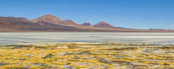 Прекрасний Пейзаж Пуни Лагуні Брава Провінція Ріоха Аргентина — стокове фото