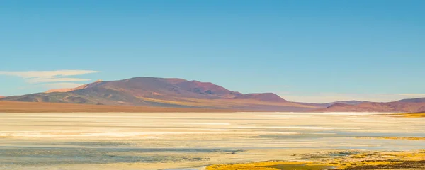 Vackert Puna Andean Landskap Brava Lagun Rioja Provinsen Argentina — Stockfoto