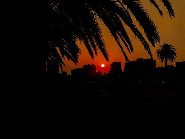 Nocny Miejski Nadmorski Zachód Słońca Sylwetka Scena Montevideo Miasto Uruguay — Zdjęcie stockowe