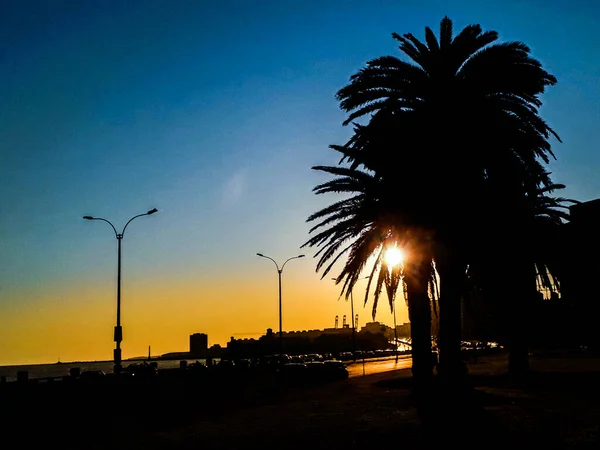 Solnedgång Urban Kustscen Montevideo Stad Uruguay — Stockfoto