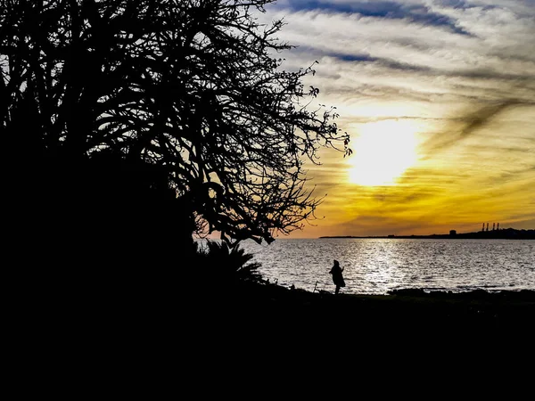 Coucher Soleil Urbain Côtier Coucher Soleil Silhouette Scène Montevideo Ville — Photo