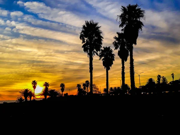 Coucher Soleil Urbain Côtier Coucher Soleil Silhouette Scène Montevideo Ville — Photo