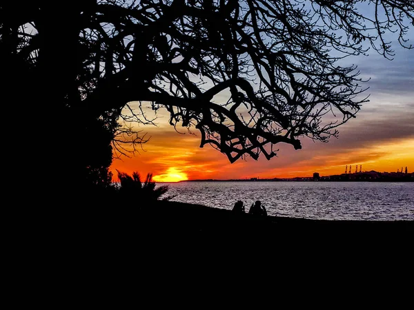 Noite Costeira Urbana Pôr Sol Silhueta Cena Montevideo Cidade Uruguai — Fotografia de Stock