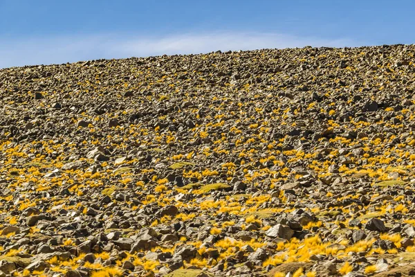 ブラバ ラグーン リザーブ リオハ州 アルゼンチンの黒い岩の丘アンデスの風景 — ストック写真