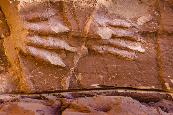 Förhistoriska Fotspår Vid Brava Lagunreservat Rioja Provinsen Argentina — Stockfoto