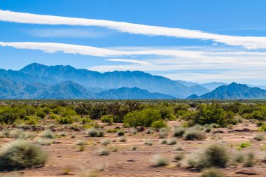 Brava lagün rezervindeki güzel puna ve andean manzarası, la rioja vilayeti, Arjantin
