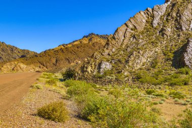 Brava lagün rezervindeki güzel puna ve andean manzarası, la rioja vilayeti, Arjantin