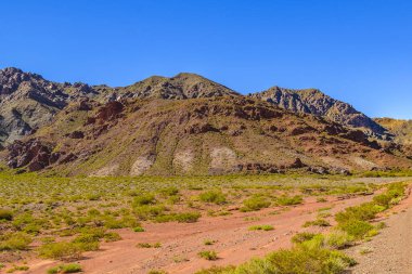Brava lagün rezervindeki güzel puna ve andean manzarası, la rioja vilayeti, Arjantin