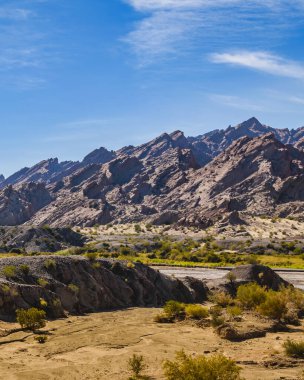 Brava lagün rezervindeki güzel puna ve andean manzarası, la rioja vilayeti, Arjantin
