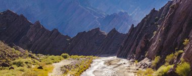 Brava lagün rezervindeki güzel puna ve andean manzarası, la rioja vilayeti, Arjantin