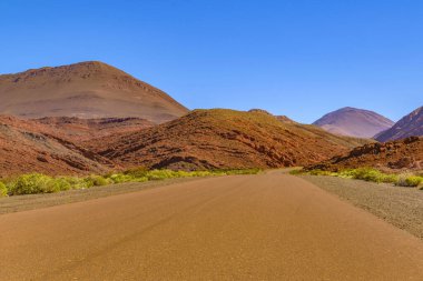 Brava lagün rezervindeki güzel puna ve andean manzarası, la rioja vilayeti, Arjantin