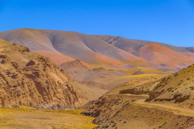 Brava lagün rezervindeki güzel puna ve andean manzarası, la rioja vilayeti, Arjantin