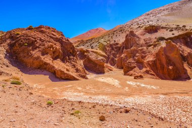 Brava lagün rezervindeki güzel puna ve andean manzarası, la rioja vilayeti, Arjantin