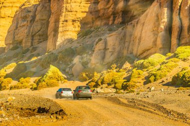 Brava lagün rezervindeki güzel puna ve andean manzarası, la rioja vilayeti, Arjantin