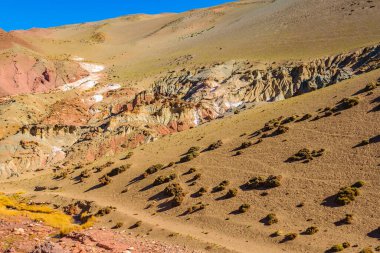 Brava lagün rezervindeki güzel puna ve andean manzarası, la rioja vilayeti, Arjantin