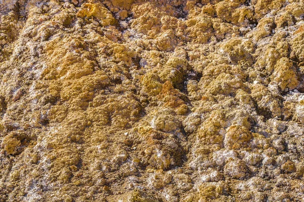 Felsiger Berg Der Nähe Von Brava Lagune Reserve Rioja Provinz — Stockfoto