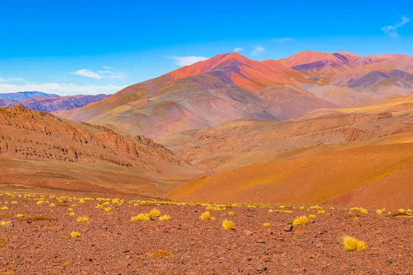 Prachtige Puna Andes Landschap Brava Lagune Reservaat Rioja Provincie Argentinië — Stockfoto