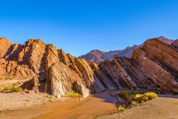 Brava lagün rezervindeki güzel puna ve andean manzarası, la rioja vilayeti, Arjantin