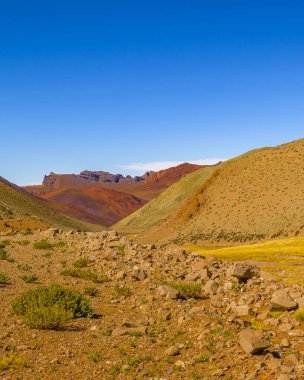 Brava lagün rezervindeki güzel puna ve andean manzarası, la rioja vilayeti, Arjantin