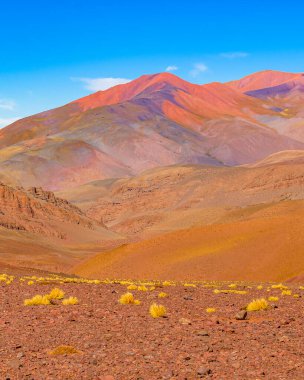 Brava lagün rezervindeki güzel puna ve andean manzarası, la rioja vilayeti, Arjantin