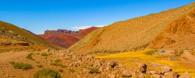 Brava lagün rezervindeki güzel puna ve andean manzarası, la rioja vilayeti, Arjantin