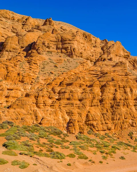 Hermoso Paisaje Andino Puna Reserva Laguna Brava Provincia Rioja Argentina — Foto de Stock