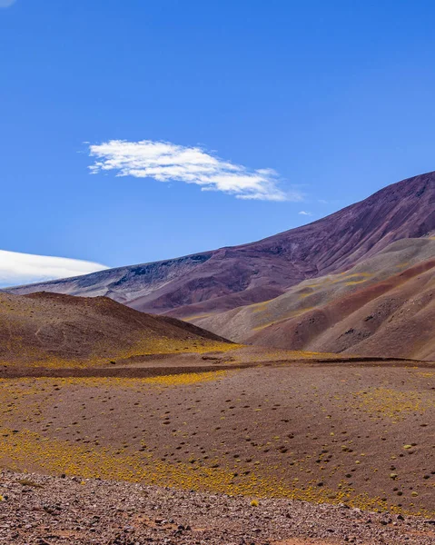 Beau Paysage Puna Andin Réserve Lagune Brava Province Rioja Argentine — Photo