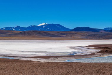 Brava lagün rezervindeki güzel puna ve andean manzarası, la rioja vilayeti, Arjantin