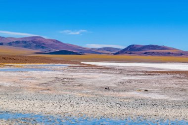 Brava lagün rezervindeki güzel puna ve andean manzarası, la rioja vilayeti, Arjantin