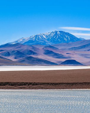 Brava lagün rezervindeki güzel puna ve andean manzarası, la rioja vilayeti, Arjantin