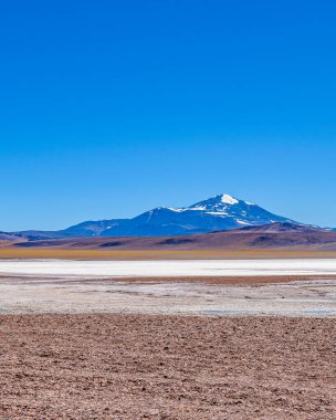 Brava lagün rezervindeki güzel puna ve andean manzarası, la rioja vilayeti, Arjantin