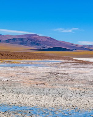 Brava lagün rezervindeki güzel puna ve andean manzarası, la rioja vilayeti, Arjantin
