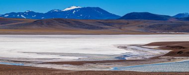 Brava lagün rezervindeki güzel puna ve andean manzarası, la rioja vilayeti, Arjantin