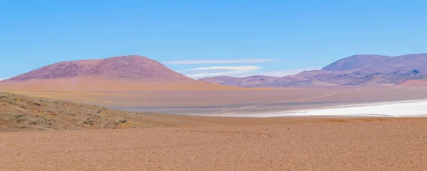Прекрасний Пейзаж Пуни Заповіднику Брава Лагуна Провінція Ріоха Аргентина — стокове фото