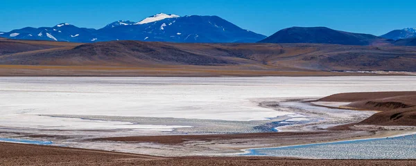 Brava lagün rezervindeki güzel puna ve andean manzarası, la rioja vilayeti, Arjantin